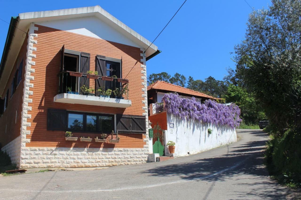 Casa Da Avo - Vale Da Silva Villas Albergaria-a-Velha Exterior foto
